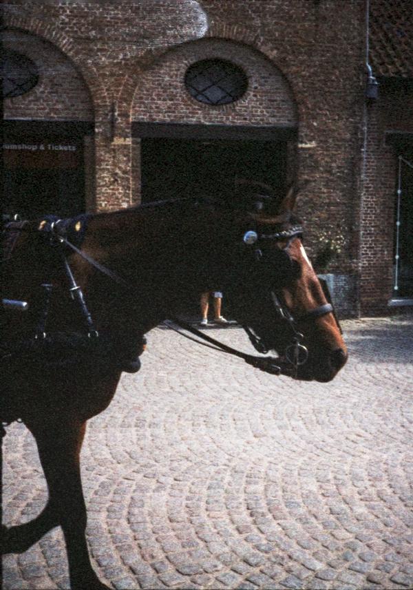 Pentax 17 Test frame 10