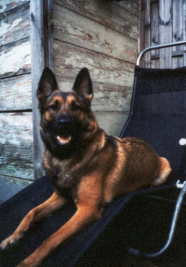 Pentax 17 Test frame 21