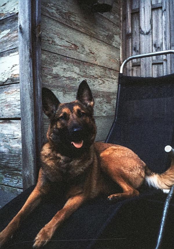 Pentax 17 Test frame 22