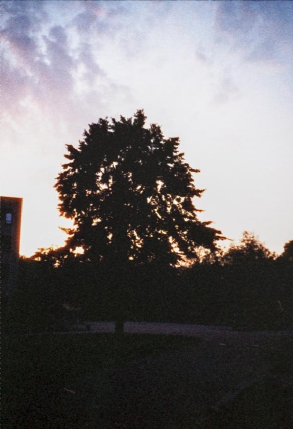 Pentax 17 Test frame 25