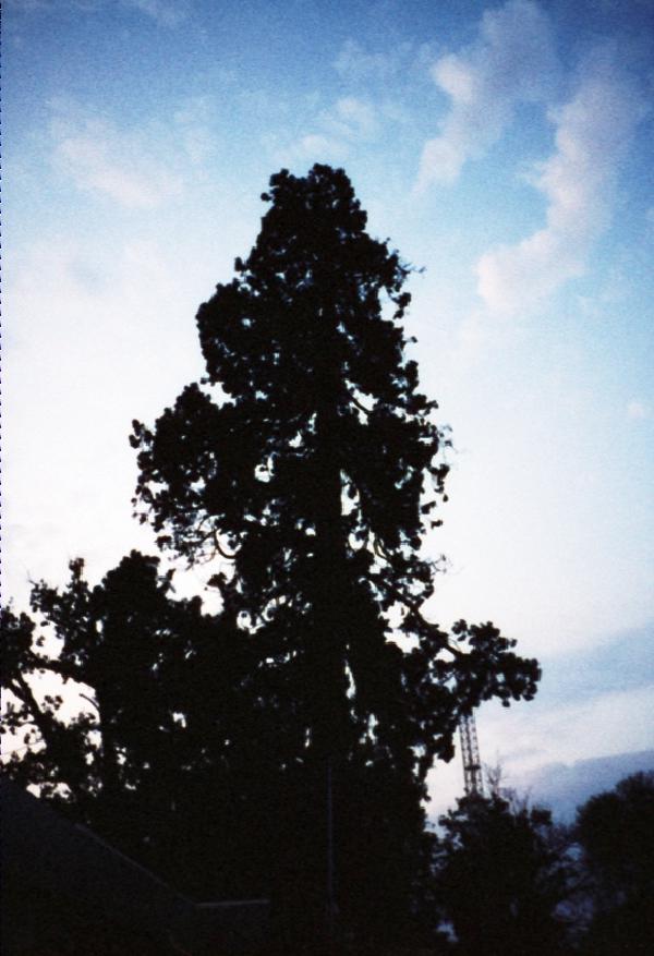 Pentax 17 Test frame 28