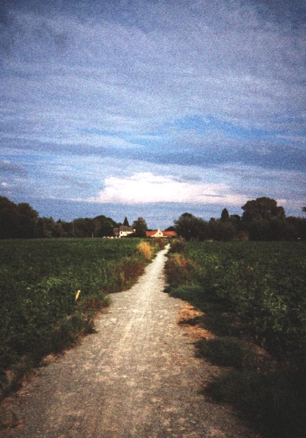 Pentax 17 Test frame 30