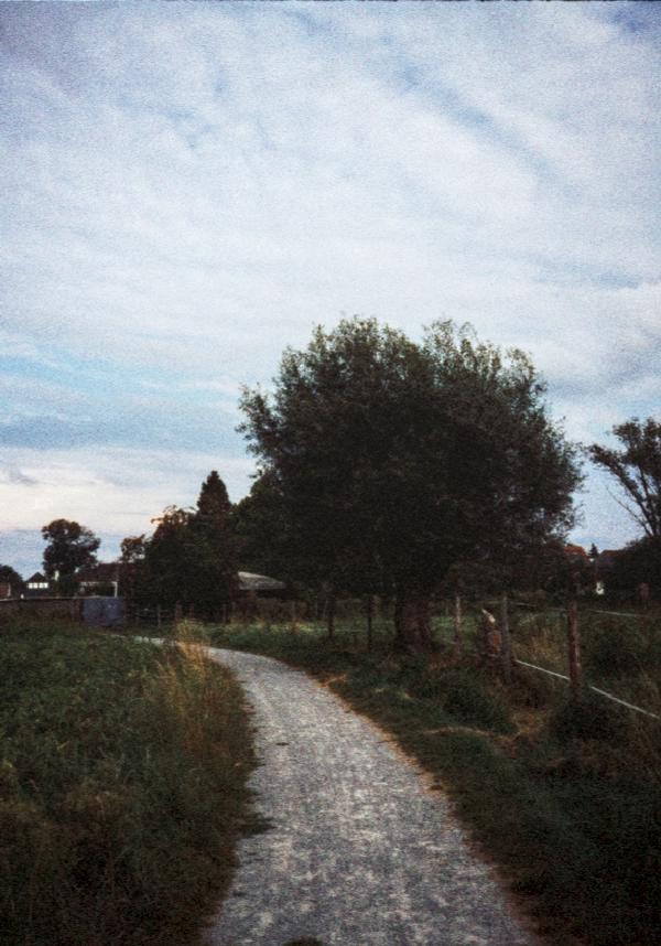 Pentax 17 Test frame 34