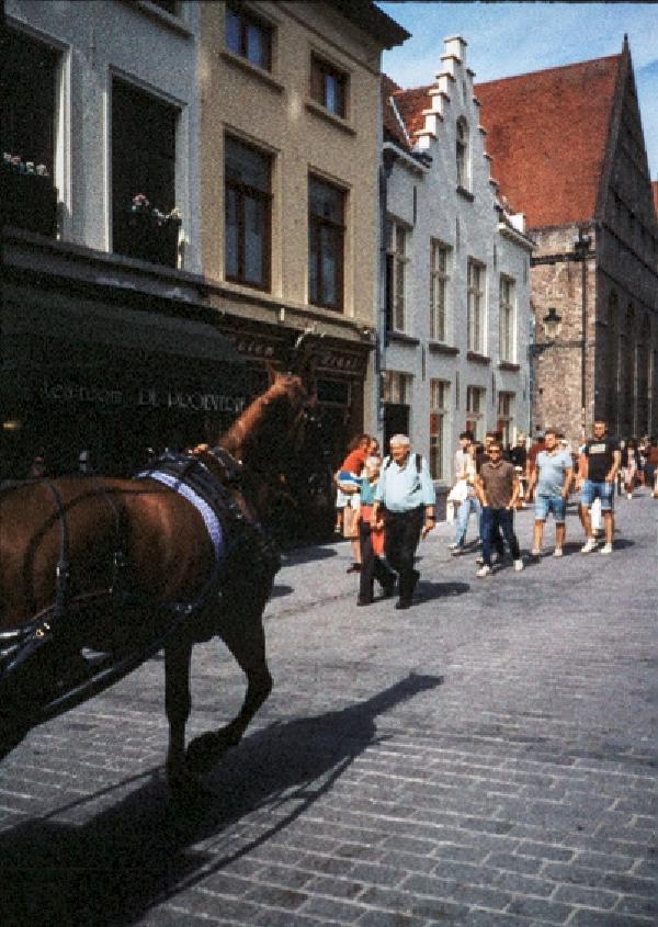 Pentax 17 Test frame 36