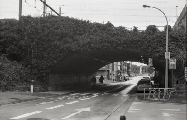 Ierejjet Photowalk Aalst, deel 2 frame 6