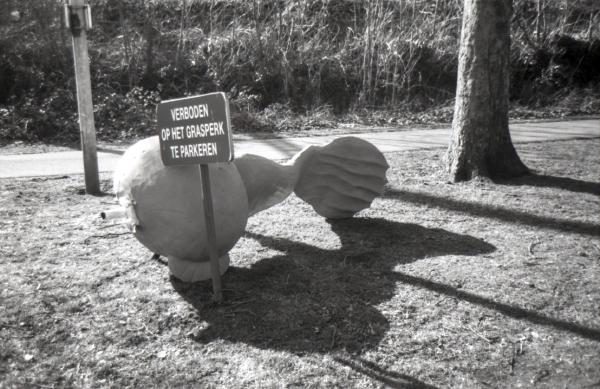 Ierejjet Photowalk Aalst, deel 2 frame 15