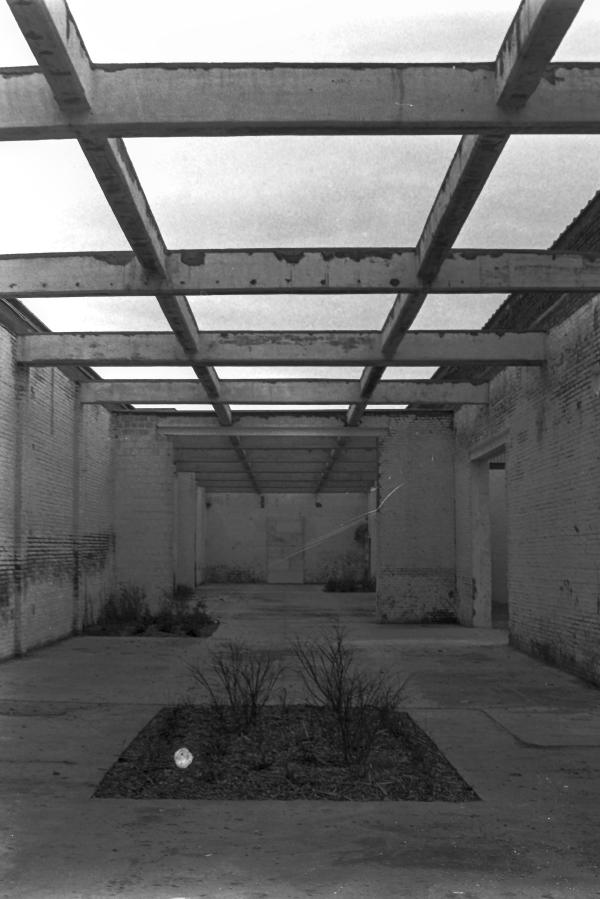 Ierejjet Photowalk Aalst, deel 1 frame 23