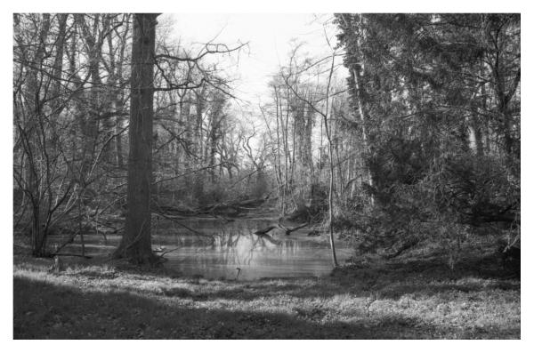 Oude Electrabel centrale frame 1