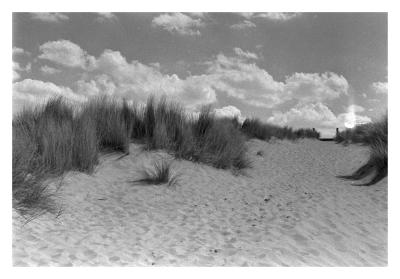Duinen in De Haan thumbnail