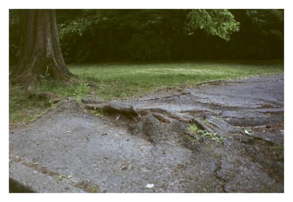 Photowalk Gent frame 2