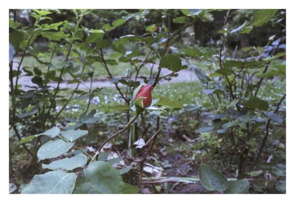 Photowalk Gent frame 3