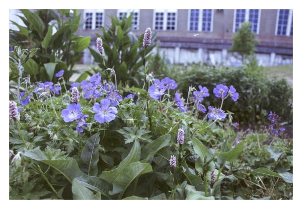 Photowalk Gent frame 5