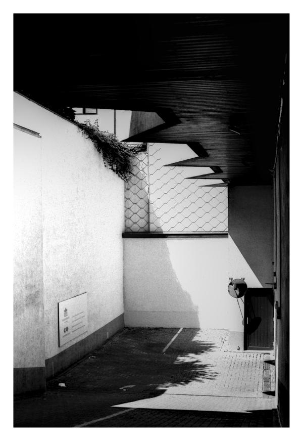 Workshop Straatfotografie Gert Swillens frame 5